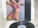 FREDA PAYNE USA LP 