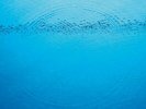 Caribou - Suddenly Vinyl LP NEU 09544871
