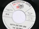 WHITE LABEL PROMO The Volumes AMERICAN ARTS AA-6 M- SOUL NORTHERN SOUL 45
