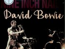 Nine Inch Nails/David Bowie- Back In Anger Live 1995 Vol.2 NEW 2-LP *CLEAR VINYL