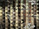 |211358| Throwing Snow - Mosaic (2 Lp) [Vinyl]