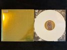 Slaves - Take Control - Ltd White Vinyl with Gold Sleeve and 35mm Photo Diary