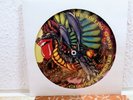 THE ROLLING STONES - BIRMINGHAM ODEON 1973 / PICTURE DISC