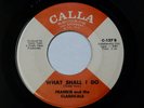 Frankie And The Classicals - What Shal I Do  VG+/VG++1968