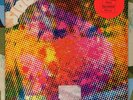 The Litter $100 Fine Cover Only Garage Psych VG+