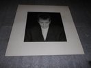 Peter Gabriel' Shaking The Tree..Twelve Golden Greats' Vinyl Album.Greatest Hits