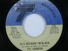 Funk 45 SLY JOHNSON Is It Because I'm Black INTREPID VG+ HEAR