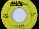 Northern Soul 45 HELENE SMITH Sure Thing DEEP CITY HEAR