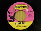 Luv'd Ones 45 Stand Tall bw Come Back - Michigan Girl Group Garage on Dunwich