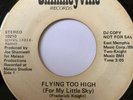 Northern Soul Promo 45/ Natural High 