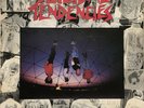 Suicidal Tendencies - Self Titled (first) LP  Frontier Records ?– FLP 1011 Punk