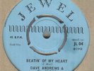DAVE ANDREWS & THE SUGAR**BEATING OF MY HEART**DANCER**JOE MEEK**LISTEN