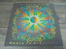 Jethro Tull - Roots To Branches 1995 UK/Euro DOUBLE LP CHRYSALIS 1st EX+
