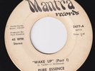 PURE ESSENCE Wake Up *HOLY GRAIL* modern soul 45 northern soul funk SUPERB  HEAR