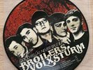 Broilers Good Fells Never Spilt E.P. Vinyl Picture Disc (Volxsturm)