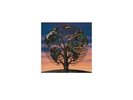 Laughing Stock [LP] by Talk Talk.
