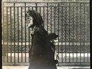 NEIL YOUNG After The Gold Rush Album LP 1978 Reprise MSK 2283 