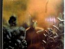 STEELY DAN KATY LIED RARE ORIGINAL 1975 ABC WHITE LABEL PROMO LP IN SHRINK MINT