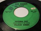 VILLAGE GREEN - NATURAL DAY/VISIONS OF REALITY, 101 BAR HARBOR