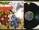 BEACH BOYS: Wild Honey LP (EX Pristine Stereo Copy ) Rock & Pop