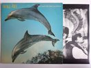 ORANGE JUICE YOU CAN'T HIDE YOUR LOVE FOREVER POLYDOR POLS 1057 80'S INDIE INNER