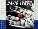 David Lynch - Crazy Clown Time - Double Vinyl