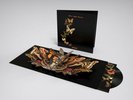 THE COURTEENERS- MORE.AGAIN.FOREVER. -HMV EXCLUSIVE DELUXE POP- UP LP VINYL- NEW