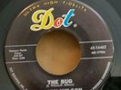 Barry Wilson Dot 16462 THE BUG / GONNA PUT YOU DOWN (ROCKABILLY 45) PLAYS VG++