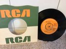 Fresh Maggots 45,,Car song / What would you do )))) RARE 7 UK PROMO