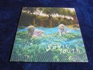 Sonic Youth - Murray Street 2002 USA VINYL LP GOO'FIN 1st