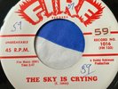 Blues 45/ Elmore James 