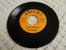 PAUL BALLENGER & FLARES I HEAR THUNDER/PIG REED 1030 M- BIRMINGHAM ROCKABILLY