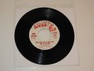 BOB DYLAN leopard skin pillbox hat / most likely you'll go your way 7