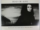 Dead or Alive Radio Special w/ Pete Burns PROMO LP 1987 Vinyl NM/VG+ EAS 2668