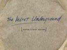 VELVET UNDERGROUND & NICO: SCEPTER STUDIOS ACETATE (LP vinyl *BRAND NEW*.)