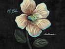 EL BUHO - BALANCE - LP VINYL - NEW