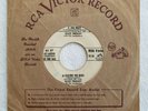 Elvis 7