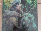 JOHN MAYALL  -  BLUES FROM LAUREL CANYON  -  LP -  VG+/VG+