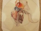 Uncut Picture Disc Gentlemans Excuse Me Fish Marillion Empd135 Promo Demo...
