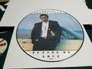 BRUCE SPRINGSTEEN PICTURE DISC 