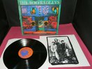 THE BOO RADLEYS Learning To Walk - VINYL LP + INSERT - Rough Trade R3011 UK 1993