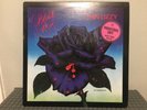 THIN LIZZY • Black Rose • 1979 ROCK CLASSIC A Rock Legend Promo LP VG+/VG+