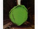 THE METERS Cabbage Alley REPRISE LP Colored Vinyl SEALED Funk