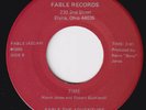FABLE THE ADVENTURE Time / Lady RARE Ohio modern soul 45 AOR synth boogie HEAR