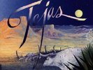 ZZ Top Tejas Limited Edition Pink VINYL NEW & SEALED