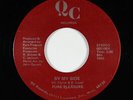 Modern Soul 45 - Pure Pleasure - By My Side - QC - mp3