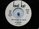 NORTHERN SOUL WIGAN DETROIT MUSIC RECORDS AIN'T NOTHING YOU CAN DO JOE MATTHEWS