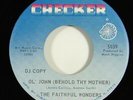 Faithful Wonders 