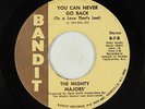 Sweet Soul/Funk 45 - Mighty Majors - You Can Never Go Back - Bandit - mp3