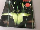 Psychic TV - Dreams Less Sweet Promo Copy
